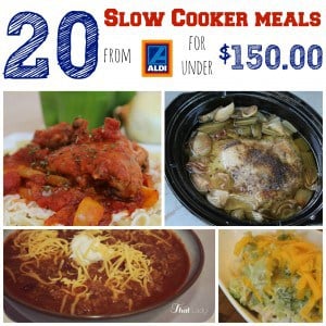 9 Easy Aldi Recipes: Slow Cooker Comfort Food Edition