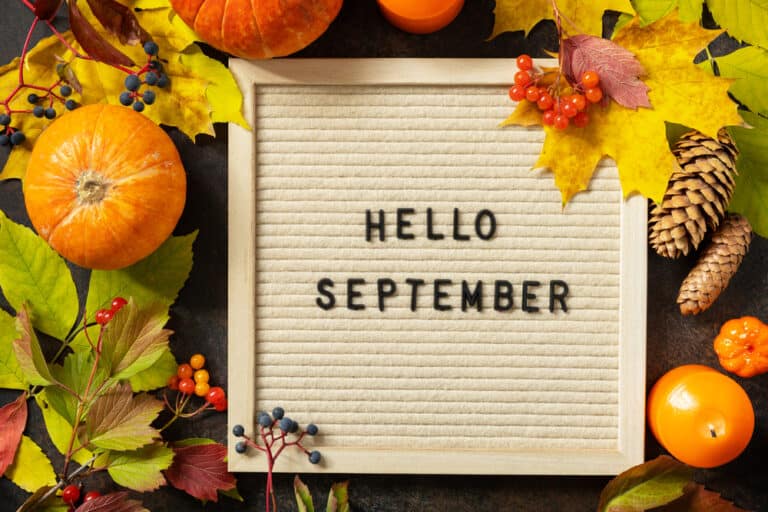 Free Printable Monthly Calendars For 2025 Simple Easy Beautiful Free printable monthly calendars for 2025 simple easy beautiful
