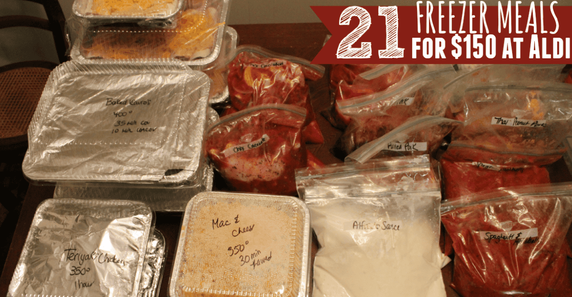 22 Easy Aldi Frozen Meals for $150 - Freezer Edition
