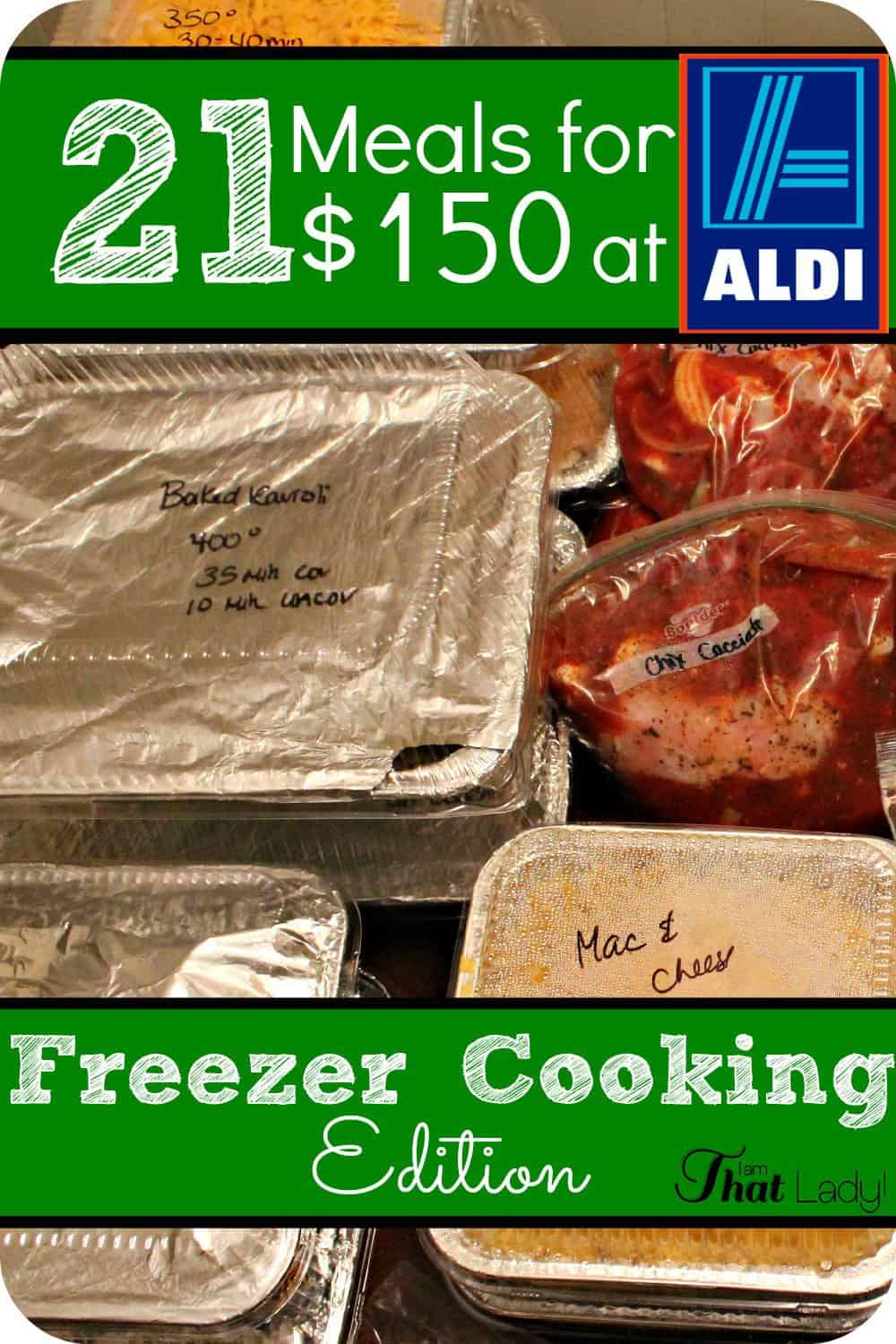 22 Easy Aldi Frozen Meals for $150 - Freezer Edition