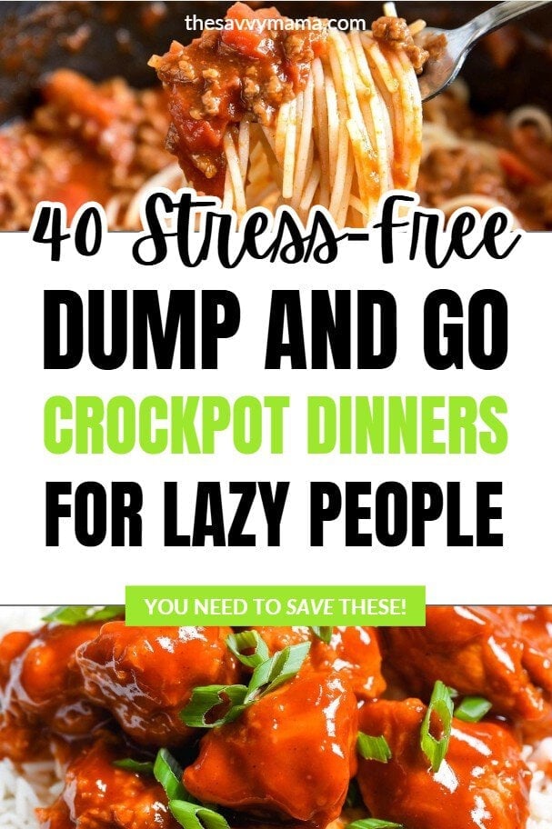 40 Dump And Go Crockpot Dinners That Are Delicious! 3 40 Stress Free Dump and Go Crockpot Dinners for Lazy People by The Savvy Mama