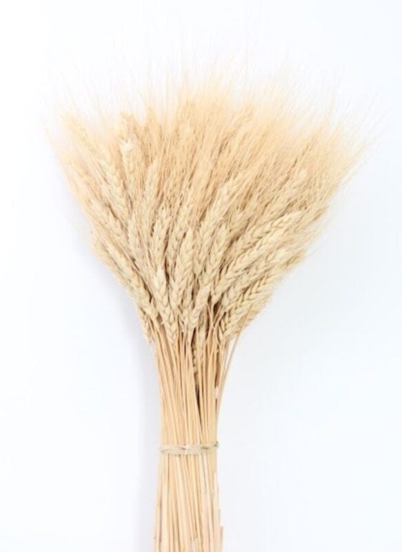 Wheat Bundles