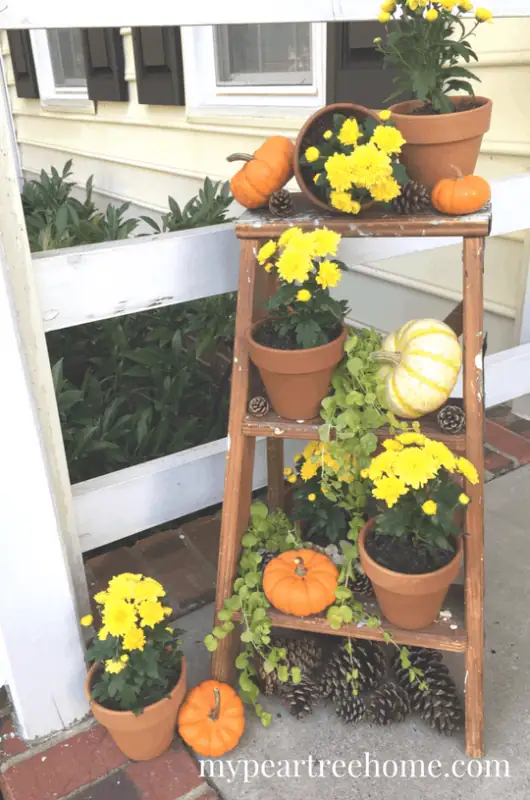 vintage ladder with flowers sitting on porch
