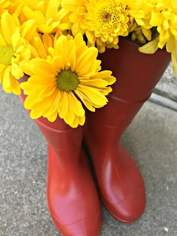 Rainboots as a flower pot