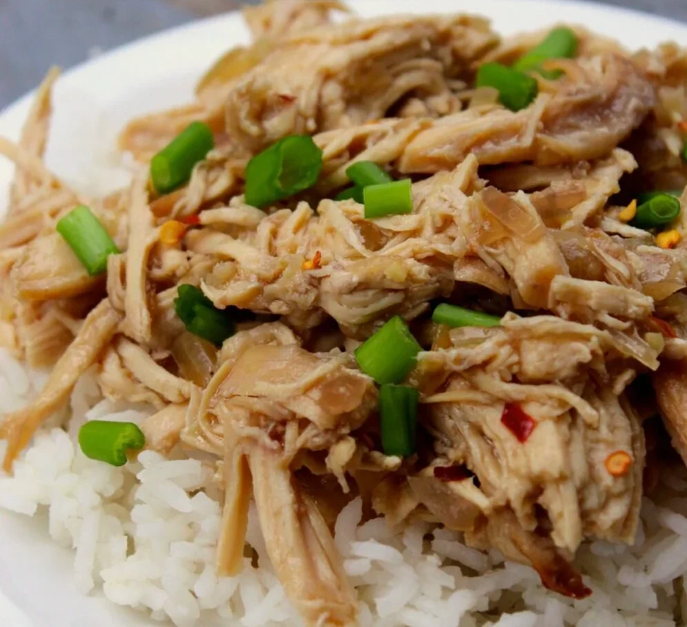 Fast Slow Cooker Honey Garlic Chicken by The Savvy Mama