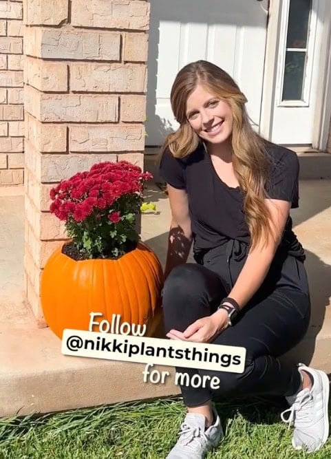 50 Dollar Tree Fall Decor Ideas To Transform Your Budget 30 “Mumpkin” Planters