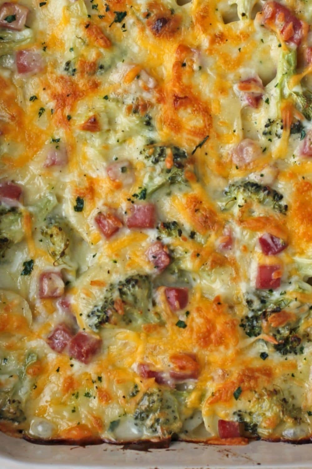 Thinly sliced potatoes layered with ham and lots of cheese, baked until soft and golden as one of our go-to dump and bake recipes.