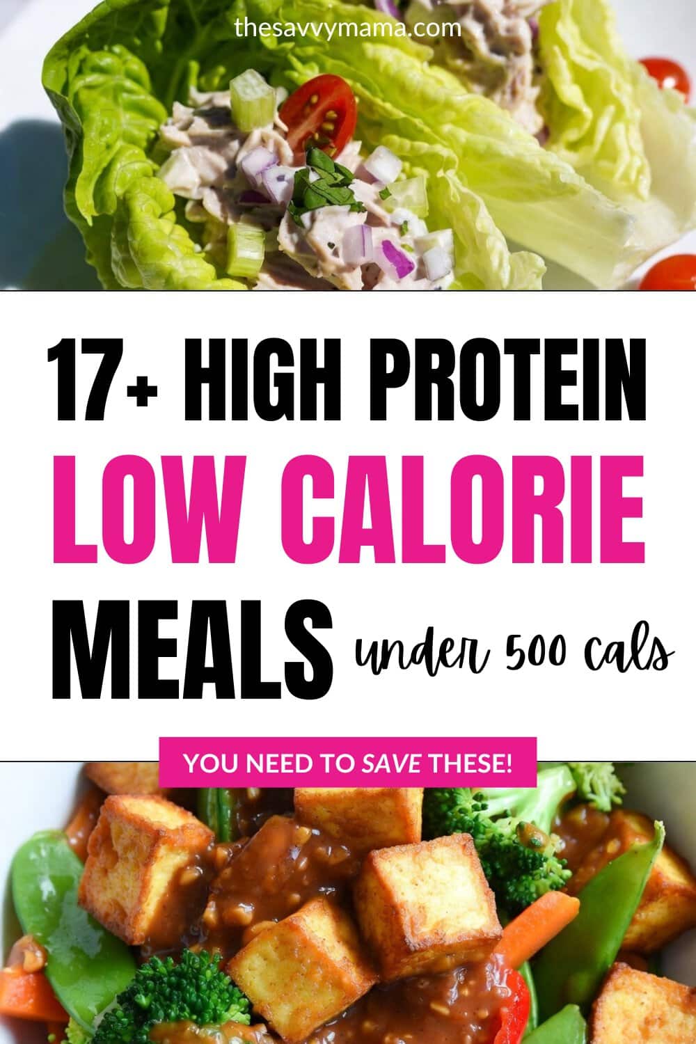 17 High Protein Low Calorie Meals under 500 calories