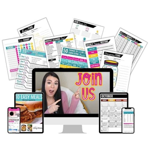 Savvy Mama Membership Mockup